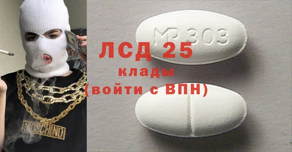 ГАЛЛЮЦИНОГЕННЫЕ ГРИБЫ Алзамай