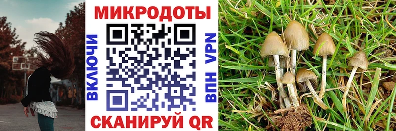 цены наркотик  Эртиль  гидра tor  Галлюциногенные грибы Magic Shrooms 